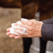 Load image into Gallery viewer, 3pack Buddy Bar Horse and Dog Luxury Shampoo Bar with FlySlayer Technology + FREE SHIPPING