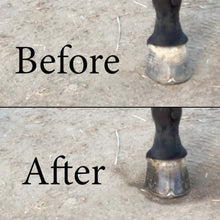Load image into Gallery viewer, Hoof Oil All Natural Spray