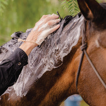 Load image into Gallery viewer, Buddy Bar Shampoo Bar for Horses and Dogs
